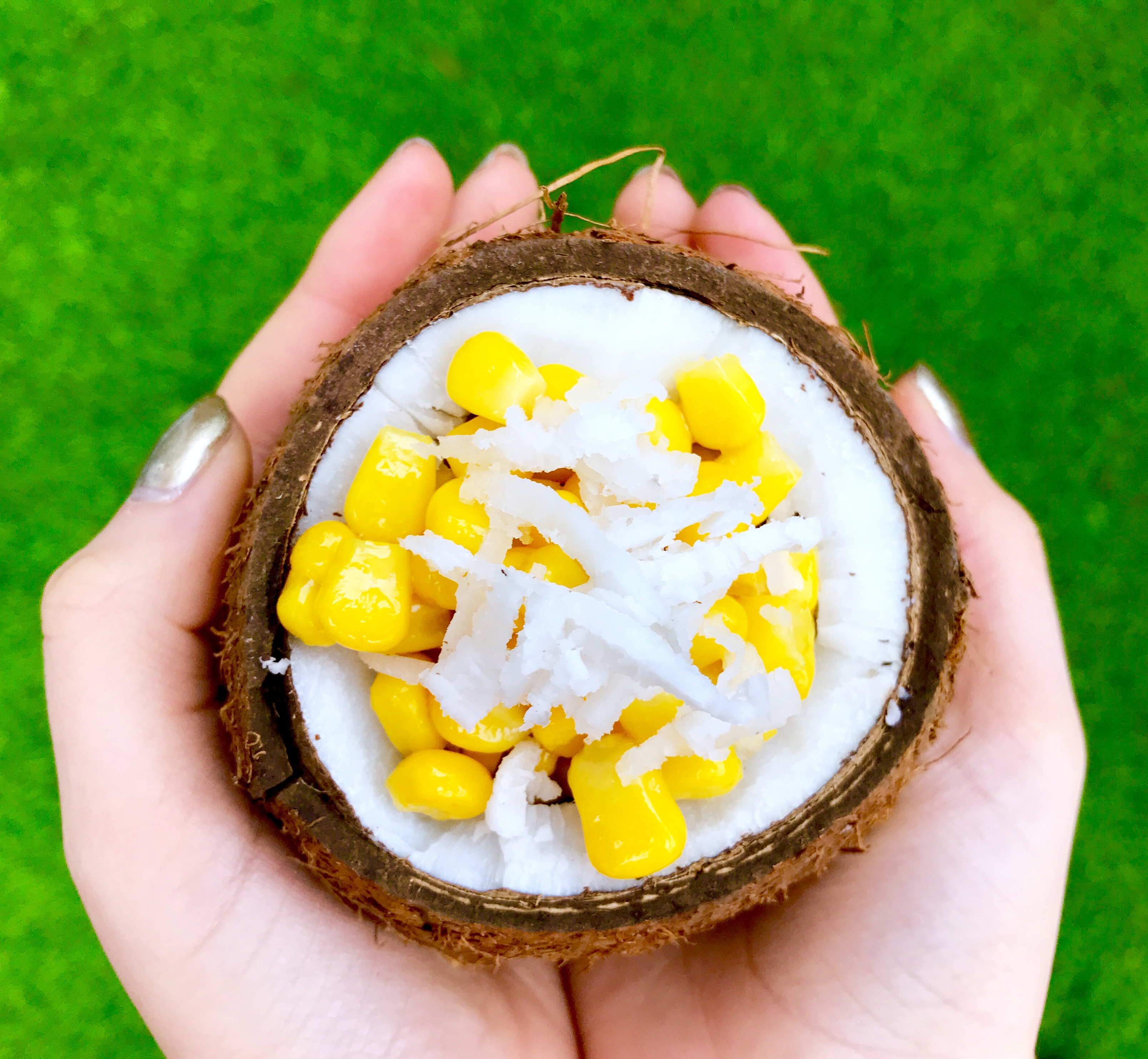 Get The Coconut Meat Out Easily - s6ib7du